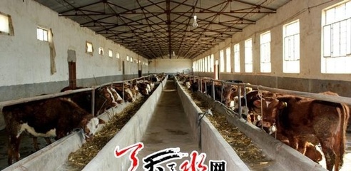 調(diào)結(jié)構(gòu)提品質(zhì) 天水市特色主導產(chǎn)業(yè)提速發(fā)展 肉制品及副產(chǎn)品加工